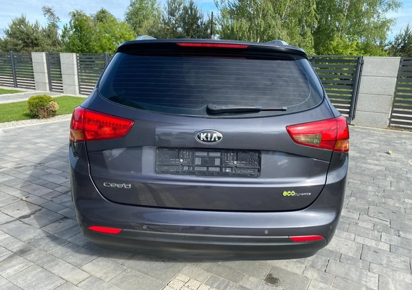 Kia Ceed cena 23900 przebieg: 163900, rok produkcji 2013 z Świecie małe 379